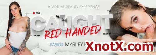 Caught Red Handed / Marley Brinx / 22-10-2019 [3D/UltraHD 4K/3072p/MP4/9.52 GB] by XnotX