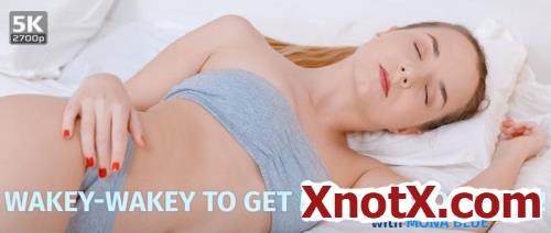 Wakey-wakey to get morning orgasm! / Mona Blue / 21-09-2020 [3D/UltraHD 4K/2700p/MP4/2.14 GB] by XnotX