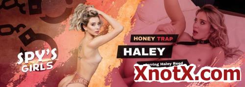 Honey Trap Haley / Haley Reed / 05-04-2024 [3D/UltraHD 2K/1920p/MP4/9.36 GB] by XnotX