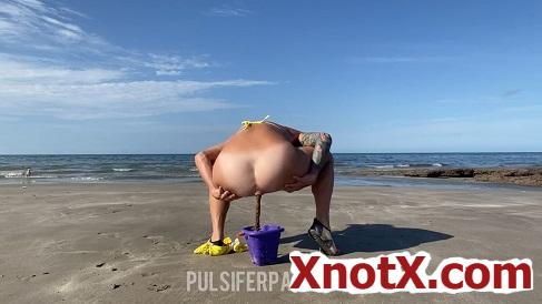 Beach Bucket Poop / PulsiferPaprocki / 24-04-2024 [FullHD/1080p/MP4/123 MB] by XnotX