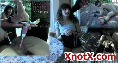Wrong House: Cookies / Dakota Marr / 18-11-2019 [SD/478p/MP4/853 MB] by XnotX