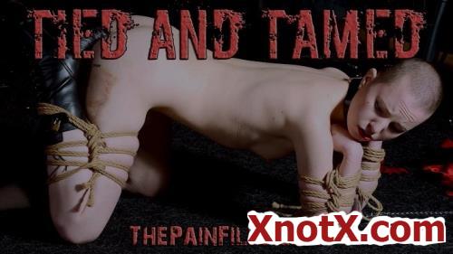 Tied And Tamed / 06-03-2020 [FullHD/1080p/MP4/2.71 GB] by XnotX