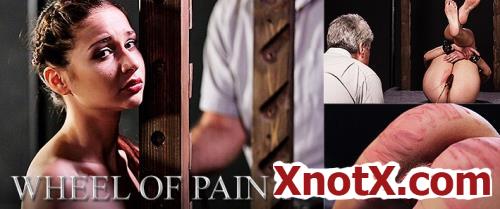 Wheel of Pain 10 with Lori / Lori / 10-12-2020 [HD/720p/MP4/1.91 GB] by XnotX