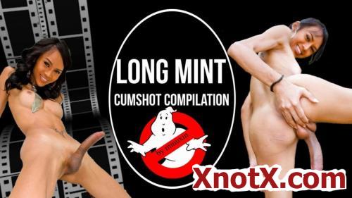Cumshot compilation by minuxin / Long Mint / 28-01-2021 [FullHD/1080p/AVI/2.52 GB] by XnotX