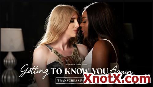 Getting To Know You Again / Ana Foxxx, Janelle Fennec / 04-02-2022 [SD/544p/MP4/394 MB] by XnotX