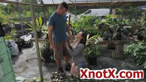 Getting Banged in the Greenhouse / Katie Kingerie / 20-04-2022 [SD/480p/MP4/390 MB] by XnotX