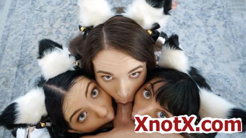 Brooke Johnson, Kitty Cam, Lily Thot - I'm Ready To Join You Guys (HD/720p) 07-09-2022