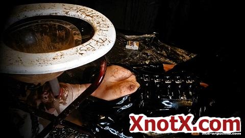 Extreme shit and puke swallowing toilet slave / SlutOrgasma / 07-02-2023 [FullHD/1080p/MP4/1.73 GB] by XnotX