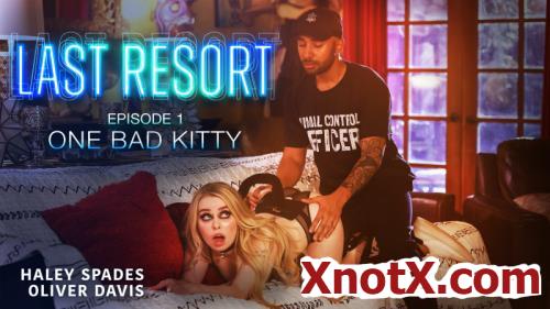 Haley Spades - Last Resort Episode 1: One Bad Kitty (FullHD/1080p) 03-05-2023