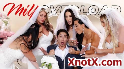 Bride Overload / Shay Sights, Texas Patti, Vivianne DeSilva, Lolly Dames, Sandy Love / 13-10-2023 [FullHD/1080p/MP4/4.02 GB] by XnotX