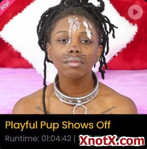 GhettoGaggers  - Playful Pup Shows Off (FullHD/1080p) 02-01-2024