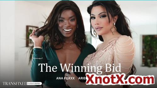 Ana Foxxx, Ariel Demure - The Winning Bid (UltraHD 4K/2160p) 19-09-2024