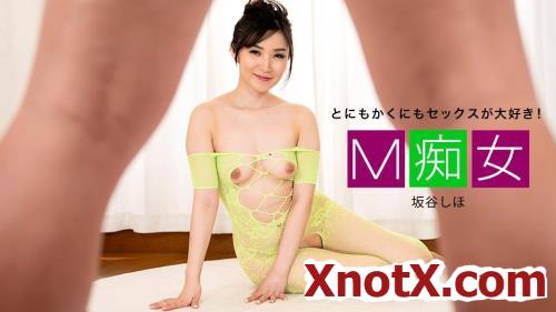 Shiho Sakatani - M Slut: Rion (FullHD/1080p) 09-01-2025